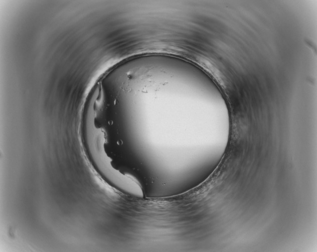 X0000096201136200802011254