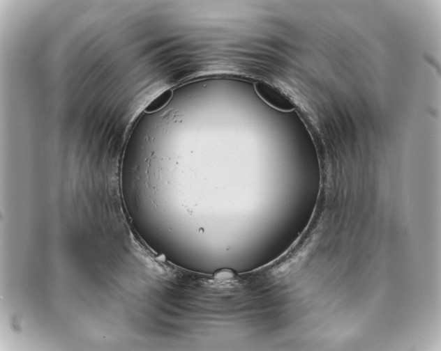 X0000096201137200802011254