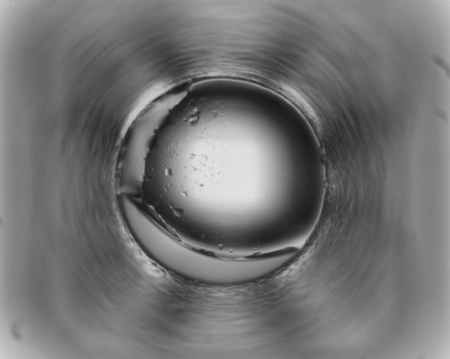 X0000096201138200802011254