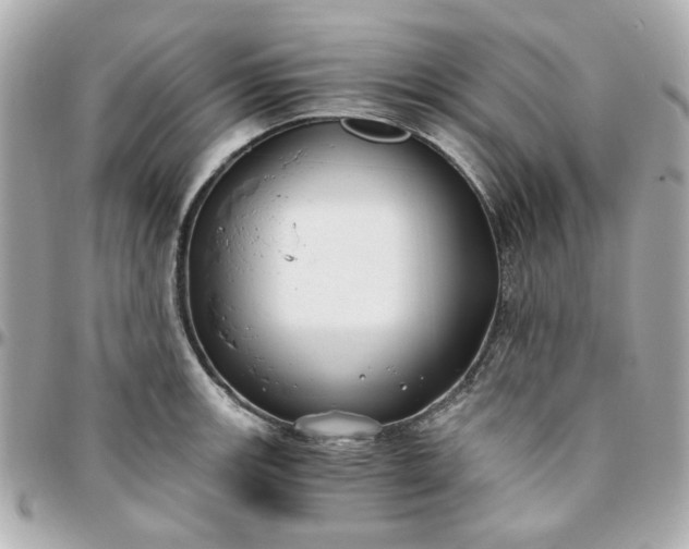 X0000096201139200802011254