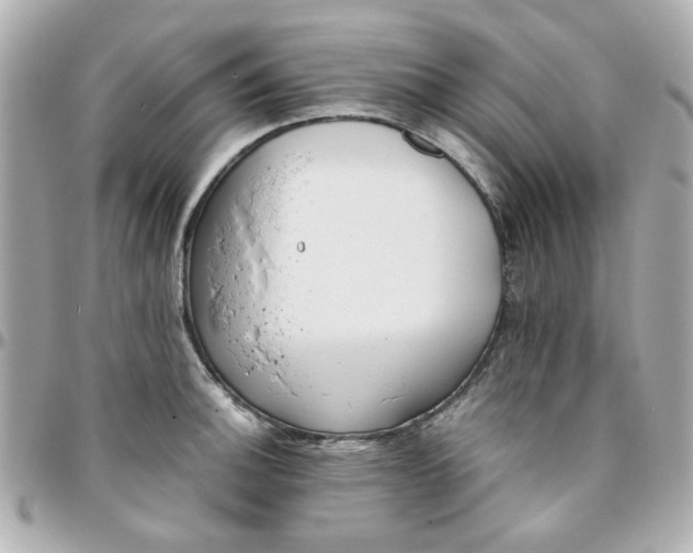 X0000096201140200802011254