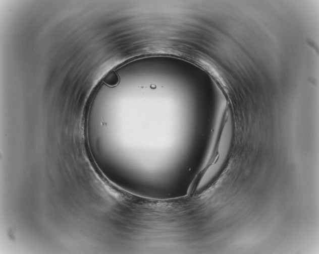 X0000096201141200802011254