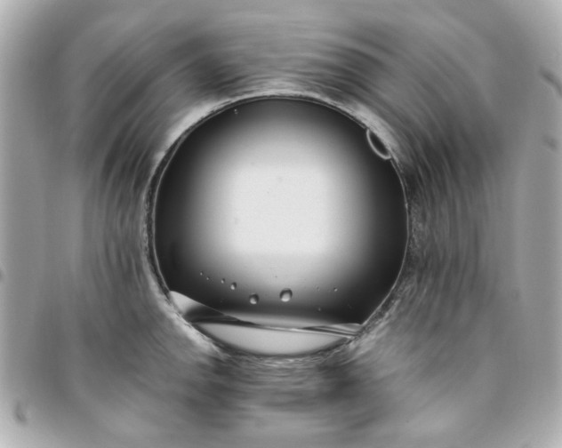 X0000096201142200802011254