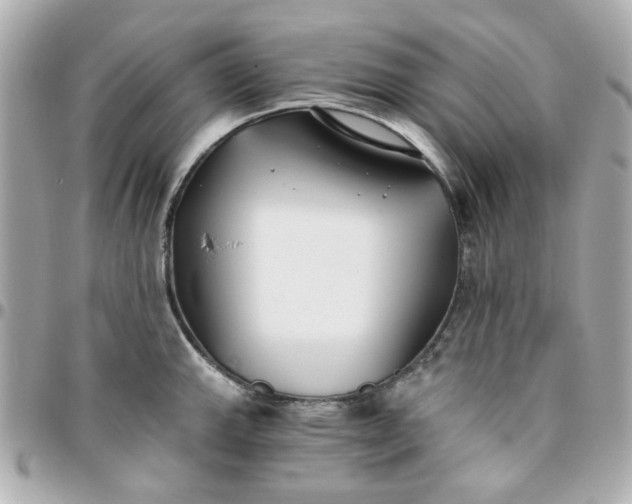 X0000096201143200802011254