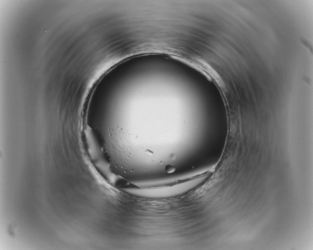 X0000096201144200802011254