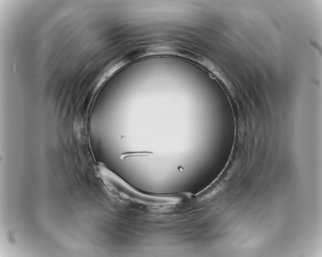 X0000096201145200802011254