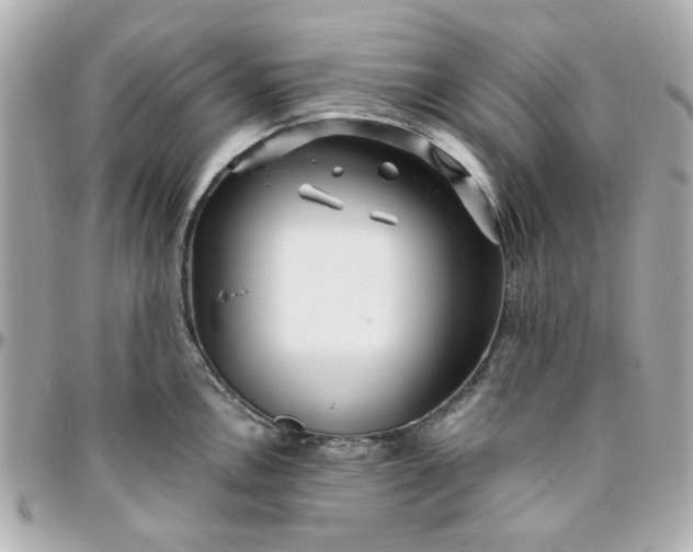 X0000096201146200802011254