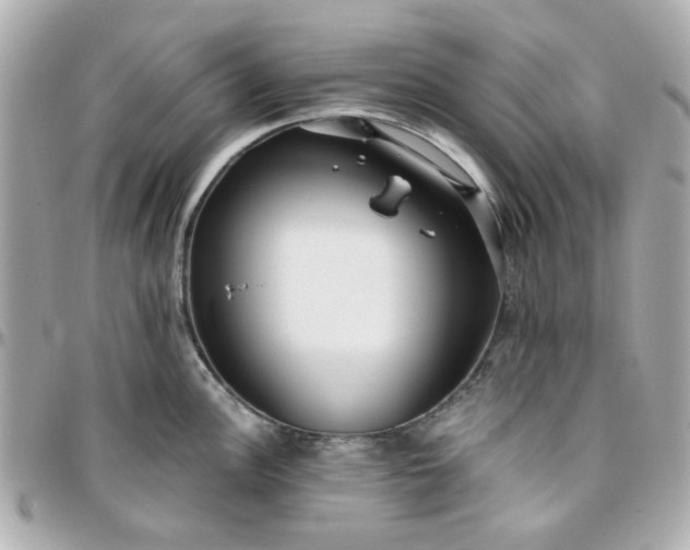 X0000096201148200802011254