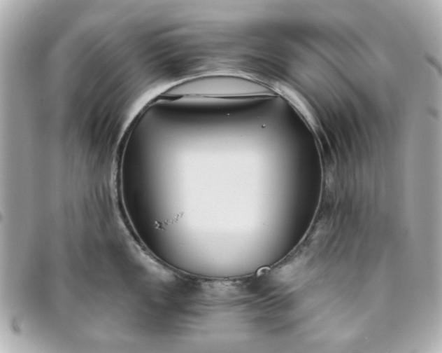 X0000096201149200802011254