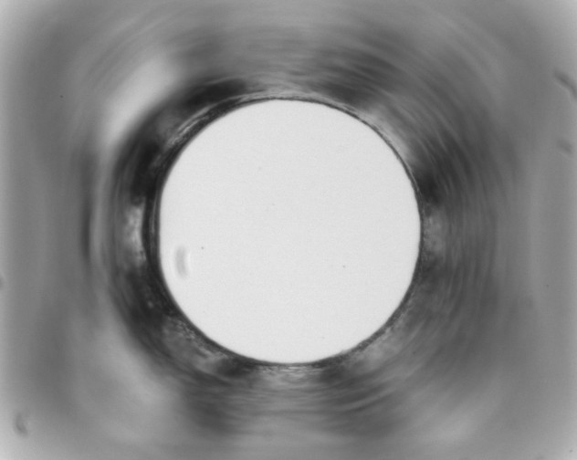 X0000096201150200802011254