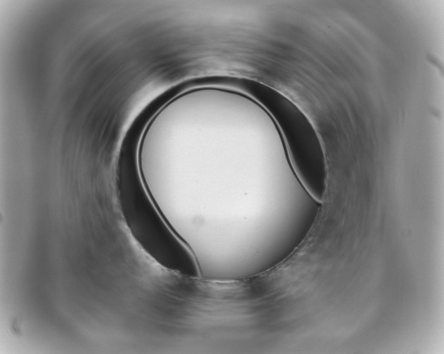 X0000096201152200802011254