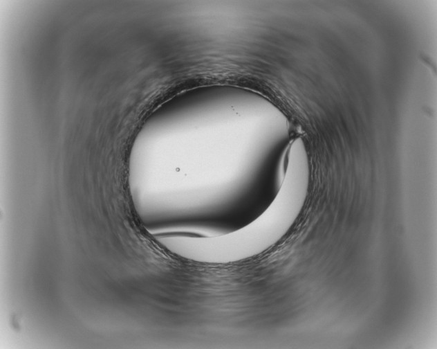 X0000096201153200802011253