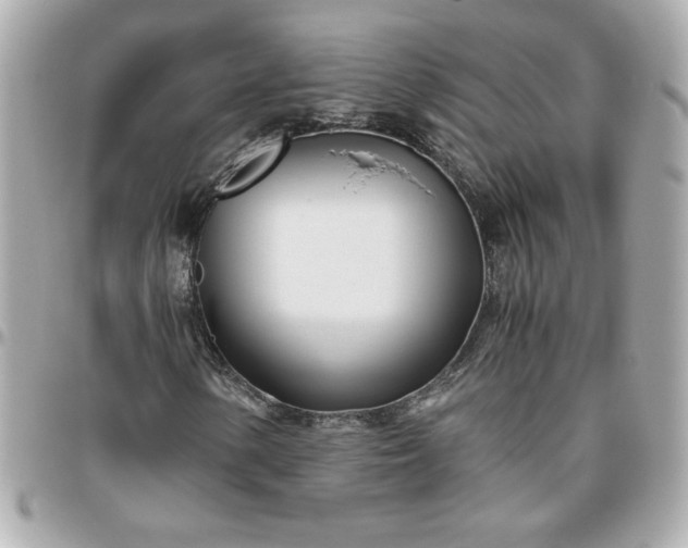 X0000096201154200802011253