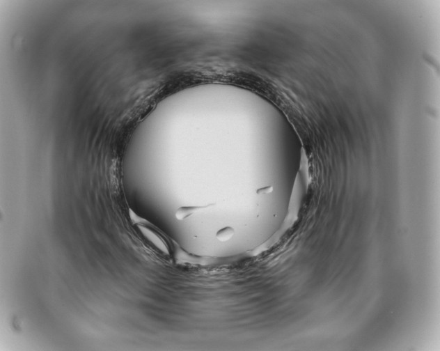 X0000096201156200802011253