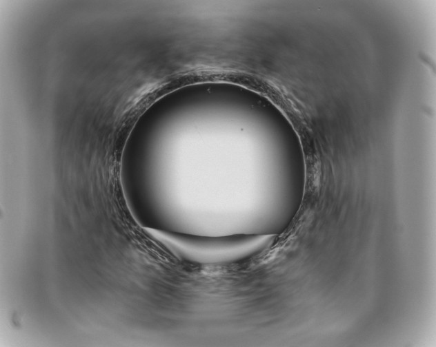 X0000096201157200802011253