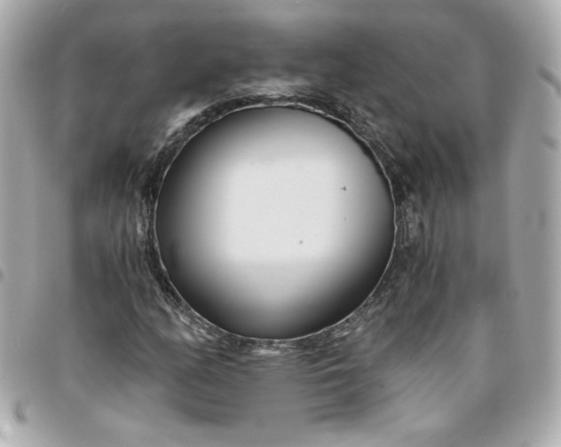 X0000096201158200802011253