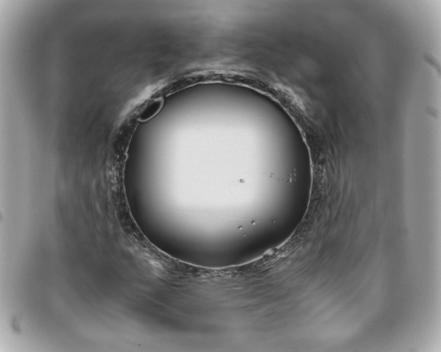 X0000096201159200802011253