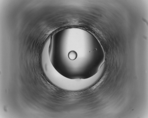 X0000096201161200802011253