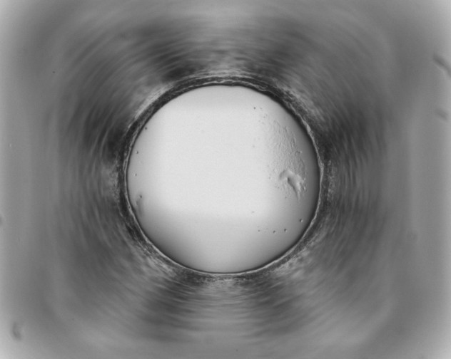 X0000096201162200802011253