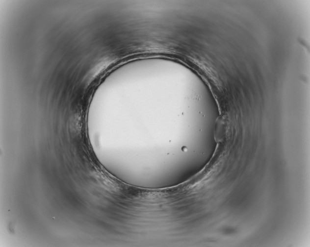 X0000096201163200802011253