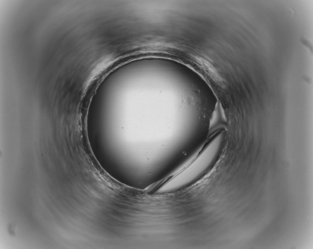 X0000096201164200802011253