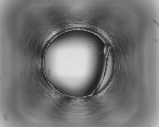 X0000096201165200802011253