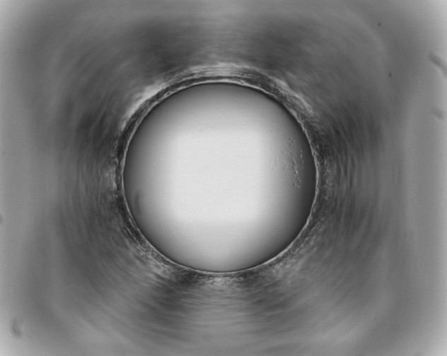 X0000096201166200802011253