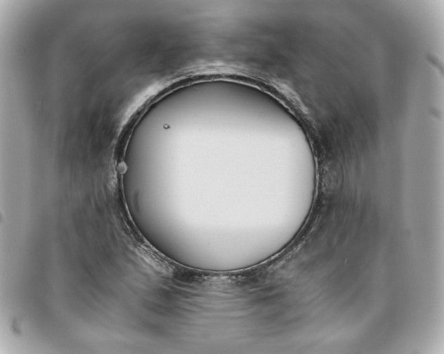 X0000096201167200802011253