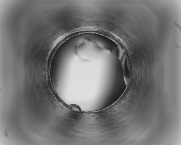 X0000096201168200802011253