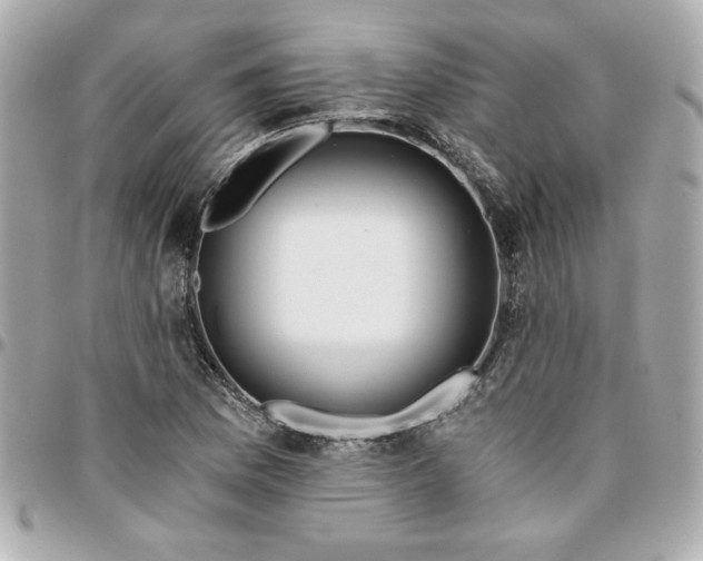 X0000096201169200802011253