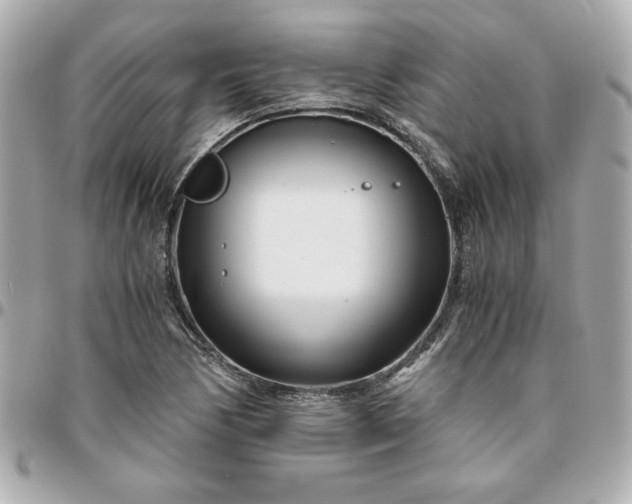 X0000096201170200802011253