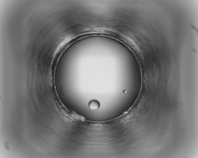 X0000096201172200802011253