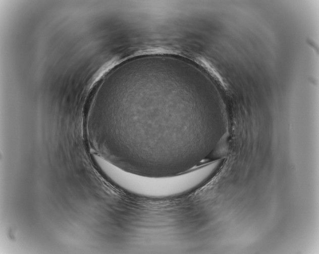 X0000096201173200802011253