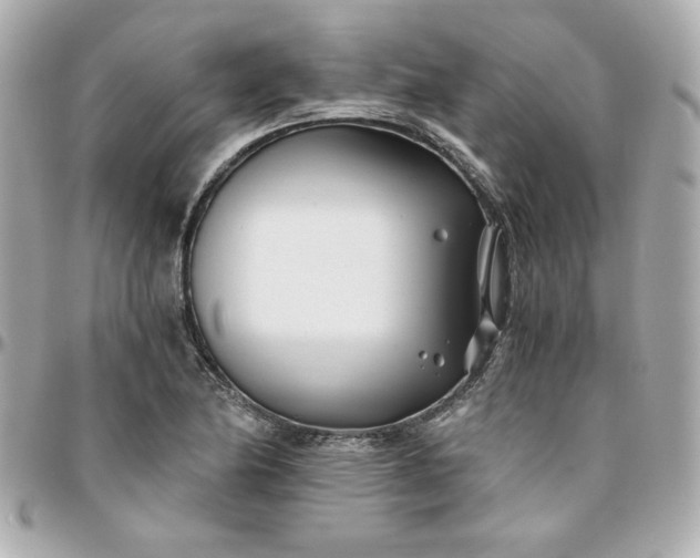 X0000096201174200802011253