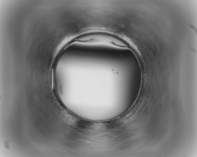 X0000096201175200802011253