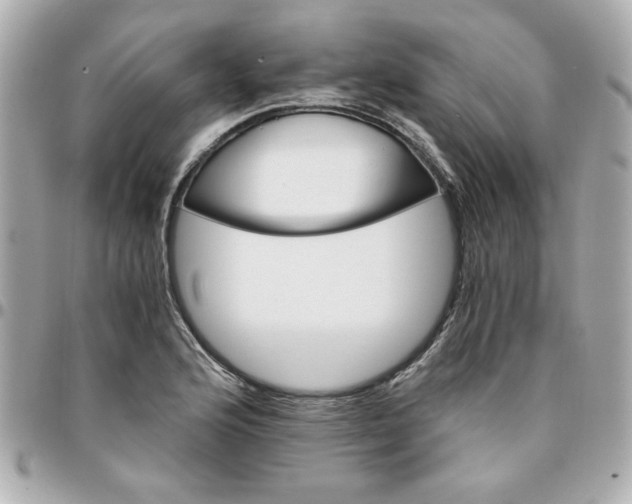 X0000096201176200802011253