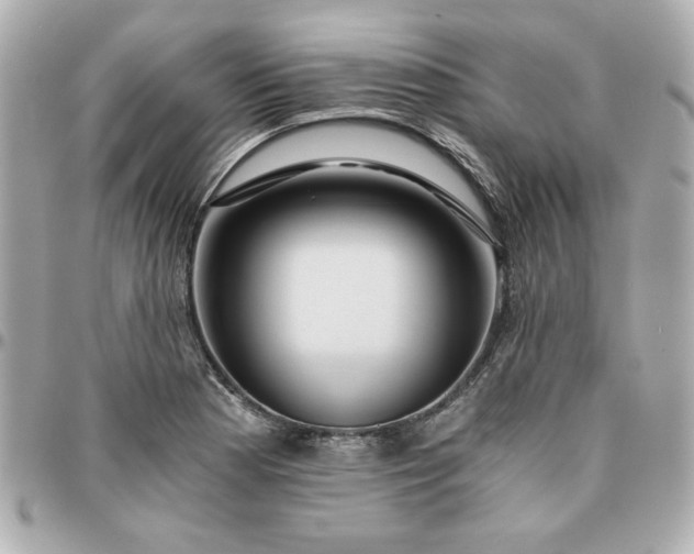 X0000096201177200802011253