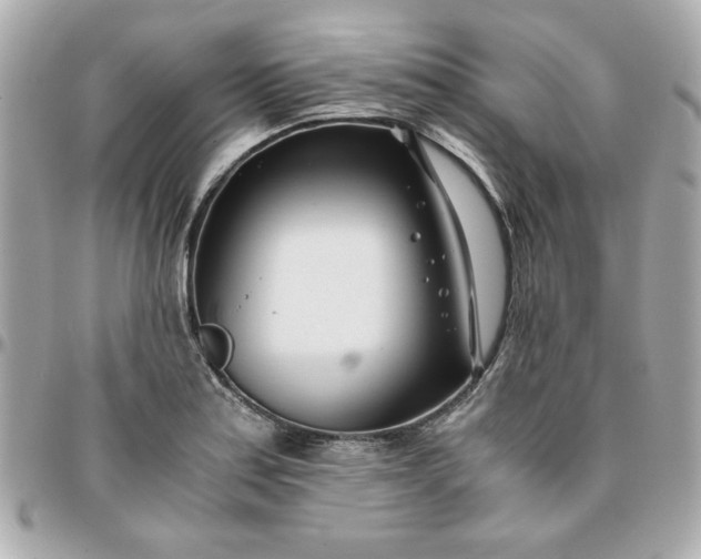 X0000096201179200802011253