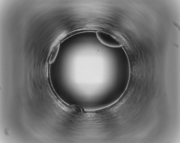 X0000096201180200802011253