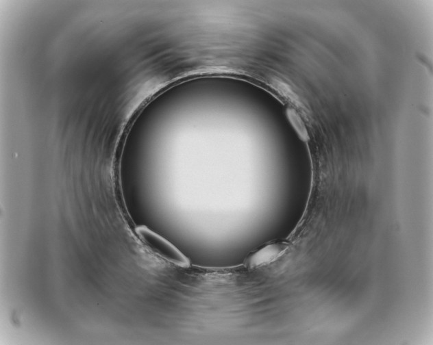 X0000096201181200802011253