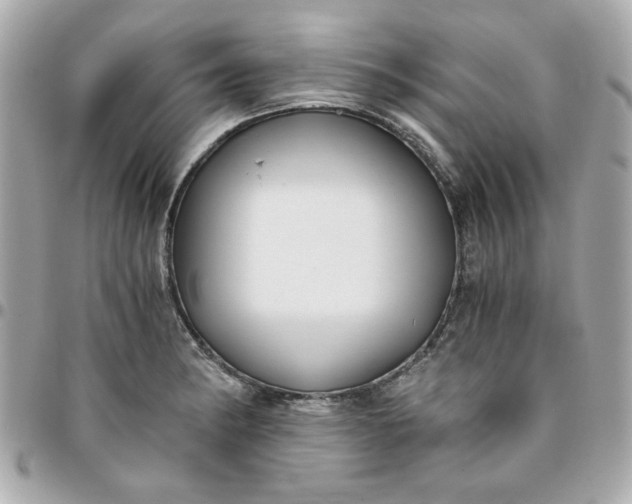 X0000096201182200802011253