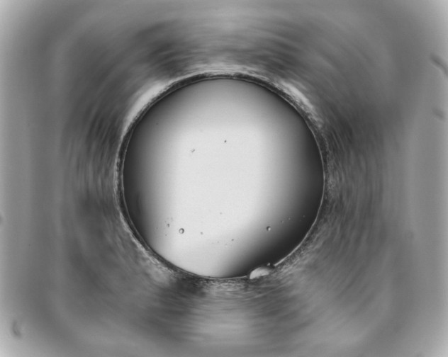 X0000096201183200802011253