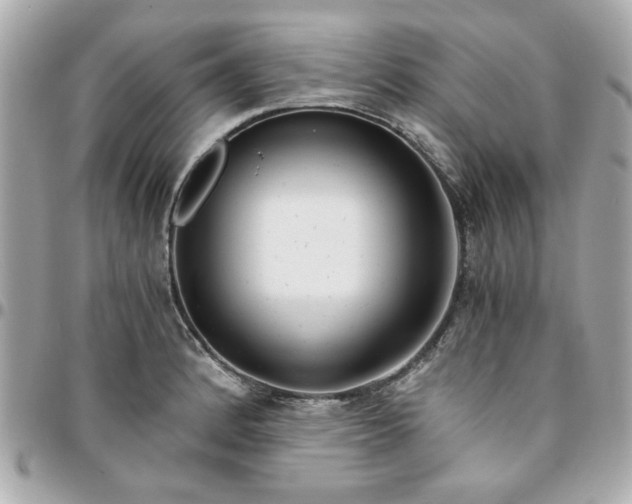 X0000096201184200802011253