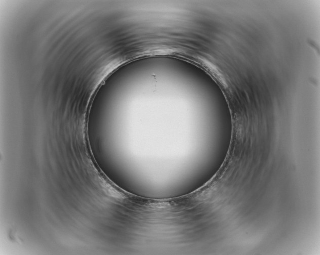 X0000096201186200802011253