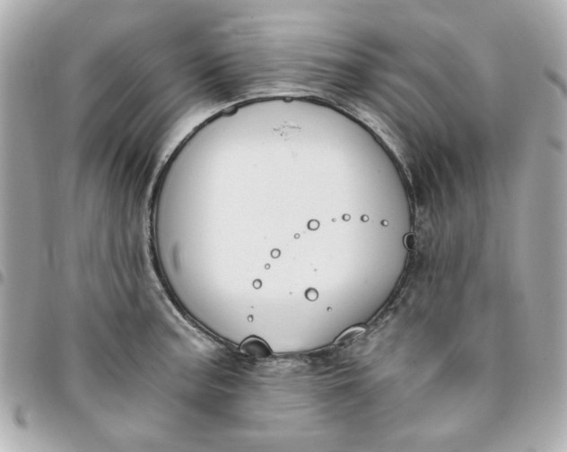 X0000096201187200802011253