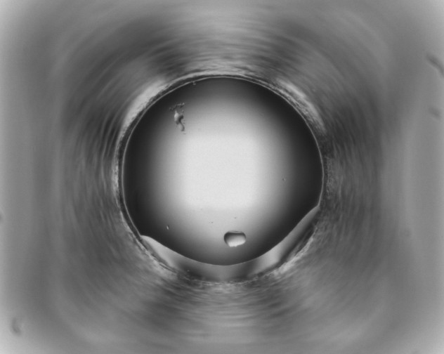 X0000096201188200802011253