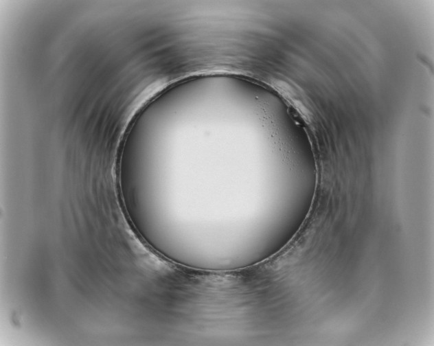 X0000096201189200802011253