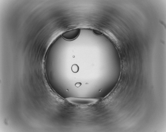 X0000096201190200802011253