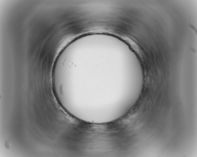 X0000096201191200802011253