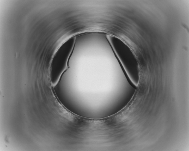 X0000096201192200802011253